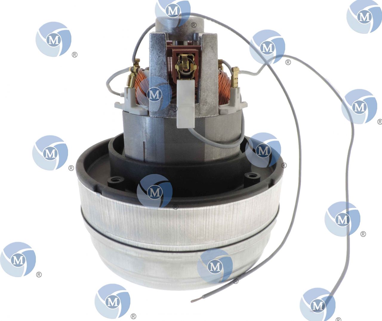 Pièces D'aspirateur 220 V BY-BF856-1000 1000 W Monophasé Série Moteur