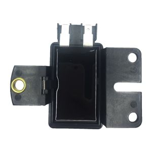 Régulateur compatible pour alternateur FIAT 4202969 - regulateur-cao130613-4
