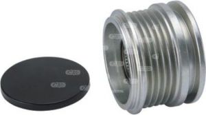 Poulie d'alternateur compatible pour alternateur IKA 335151 - Poulie alternateur débrayable