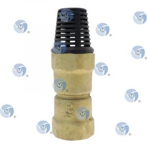 Clapet crépine en Laiton, avec un filtage en ¾ de pouce - Clapet à crépine laiton - Ø.3/4''