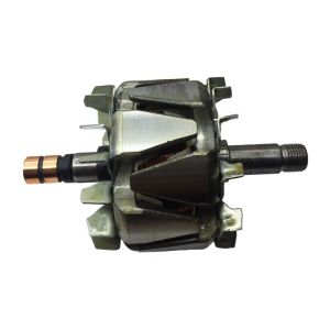 Rotor d'alternateur compatible pour BOSCH 0123320041 - Rotor d'alternateur pour alternateur BOSCH 1124034452