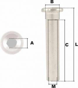 Embout taraudé tête six pans creux M5 (Inox) - Côtes et dimensions