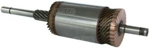Induit compatible pour démarreur LUCAS 25246A