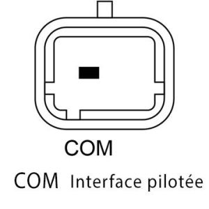 Régulateur compatible pour alternateur DENSO 1012101720 - Schéma de branchement PL162