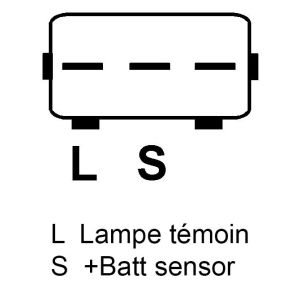 Régulateur compatible pour alternateur HITACHI TR1Z154 - schema branchement alternateur