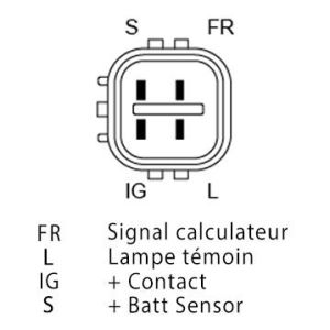 Régulateur compatible pour alternateur DENSO 1042104190 - Schéma