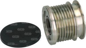 Poulie d'alternateur compatible pour alternateur AUTOSTARTER POLAND AFP3020INA